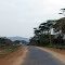C12公路沿途风光(scenery along C12 Road)