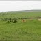 Plaine Africaine