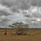 Cloudy Savannah