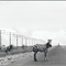 creating the zebra strip ©monochromo (weggi.ch)