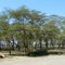 Nakuru, Кения