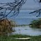 Lake Naivasha, from Fishermen's Camp