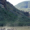 Zebras in Hell's Gate NP