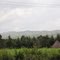 Eldoret webuye road