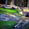 Red Hill Spring
