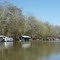 Camps in the Delta