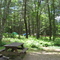 Massasoit State Park