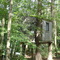 Treehouse in Woods