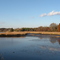 Low tide, Taunton River above the Berkley Bridge