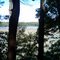 Pond view from overlook