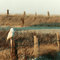 Duxbury Beach