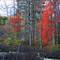 Fall foliage at Oxbow National Wildlife Refuge