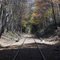 tracks leading north