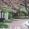 Amelia Park In Spring Bloom (1)