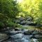 Granville gorge, Granville Mass.