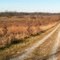 Green River State Forest