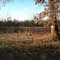 Green River State Forest