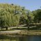Malden Pond