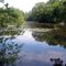 summer at Lake Sabbatia, MA 01