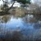 early spring Lake Sabbatia, MA 02