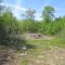 Rocky Woods, Taunton, Makings of a bonfire