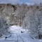 Snow on Hillside Rd.
