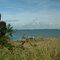 Bridge to Solomons Island