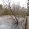 Calvert Cliffs State Park Pond