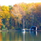Fall Colors