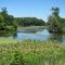 Urieville Community Lake