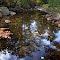 Sligo Creek