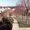 Titonka way. Maryland.