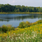 Local Pond in Derwood