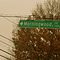 Morningwood Drive