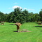 Lake Needwood Park