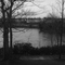 Lake arbor