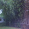 Bamboo backyard on 31st Street and Windom, Mount Rainier MD