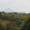 Looking toward Congo