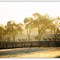 Stud Paddocks by marylandhorsefencing.com
