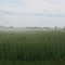 Atmospheric Phenomenon: Cold Air over Warm Moist Grain
