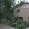 Hurricane Ike Tree Damage at 2747 Lantz Rd Beavercreek Ohio