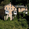Hillside Houses with Kudzu
