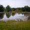 Natural pond at Cave Run Lake  2009