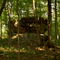 Zilpo Arch near Cave Run Lake  Ky.