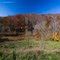 Huntington Mall Area In Fall