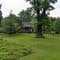  llargest black locust tree in indiana