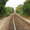 train