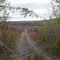 Chesuncook Lake from Longly Stream Road