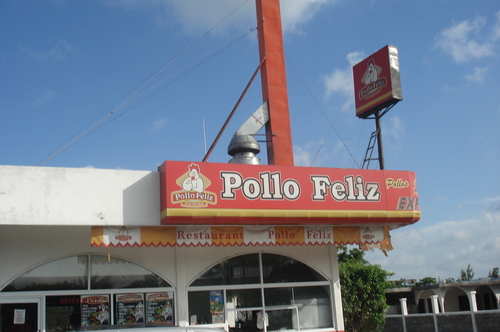 POLLO FELIZ,COYOL