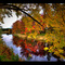 Fall Colors - Morrill, Maine
